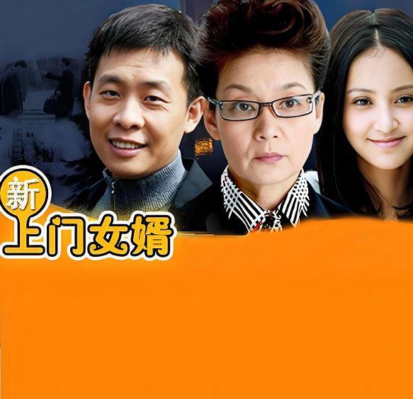 新上门女婿演员表